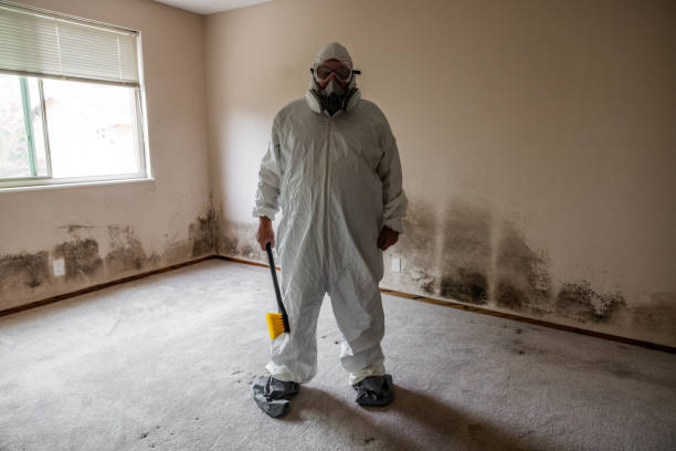 Best Residential Mold Removal  in Essex, MD